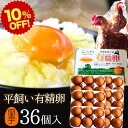 楽天スーパーSALE 10%OFF 卵 生卵 高級 有精卵 平飼い たまご ギフト【生卵36個入】卵かけご飯 のし カード無料 平飼いでストレスなくのびのび育った鶏が産む健康卵 食べ物 TV 紹介 プレゼント お取り寄せ グルメ 玉子 実用的 ダイエット お祝い 結婚祝い