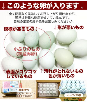 楽天市場 訳あり卵 40 Off 2セット以上でおまけ付 5時間限定セール 緑の一番星 生卵30個入 生卵25個 破損保証5個 トレイ入 雑誌掲載テレビ紹介で話題 送料無料 緑の卵 高級栄養タマゴ 30 黄身 甘く濃厚 オーラ最高値 免疫力 卵かけご飯 お取り寄せグルメ Sale 楽天市場 訳あり卵 40 Off 2セット以上でおまけ付 5時間限定セール 緑の一番星 生卵30個入 生卵25個 破損保証5個 トレイ入 雑誌掲載テレビ紹介で話題 送料無料 緑の卵 高級栄養タマゴ 30 黄身 甘く濃厚 オーラ最高値 免疫力 卵かけご飯 お取り寄せグルメ Sale