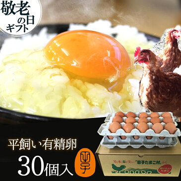 敬老の日 ギフト 送料無料 有精卵 30個入(生卵25個+破損保証5個) 飲んでも美味!甘く濃厚 生臭さ無し 平飼いでストレスなくのびのび育った純国産鶏産む健康タマゴ 肉体改造 免疫力 筋トレ ダイエット 9/19〜21着の予約販売※日時指定不可)
