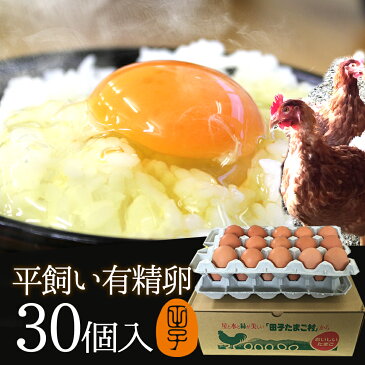 有精卵 30個入(生卵25個+破損保証5個) 飲んでも美味!甘く濃厚 生臭さ無し ギフト 平飼いでストレスなくのびのび育った純国産鶏産む健康タマゴ 肉体改造 免疫力 筋トレ ダイエット 生卵を飲む方もおすすめ 【ご自宅用】 卵かけご飯 お中元
