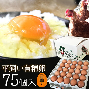 有精卵 75個入(生卵60個+破損保証15個) ギフト 送料無料 皆でシェア♪小分け用袋(ネット)無料!飲んでも美味!甘く濃厚 生臭さ無し 平飼いでストレスなくのびのび育った純国産鶏産む健康タマゴ 筋トレ ダイエット 高波動 【ご自宅用】 卵かけご飯 お中元