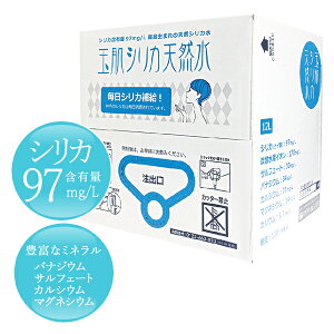 シリカ水 シリカウォーター【2箱】美容と健康のミネラル豊富でバランスの取れた霧島の天然シリカ水 玉肌シリカ天然水 2箱 12L バッグインボックス ケイ素水 ミネラルウォーター 九州 炭酸 水素 イオン silica 天然水