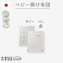 送料無料 公式 たまひよ 防ダニ 丸洗いできる ベビー掛け布団 / ベネッセ ベビー 洗える ふとん 掛布団 セット お昼寝 赤ちゃん 日本製