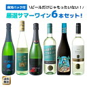 【送料無料】ワインセット サマーセット スパークリングワイン 白ワイン 保冷バッグ 夏ワイン 6本セット 2025年度版 第14弾【Pup】