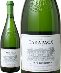 タラパカグラン・レゼルバソーヴィニヨン・ブラン[2010]＜白＞＜ワイン／チリ＞