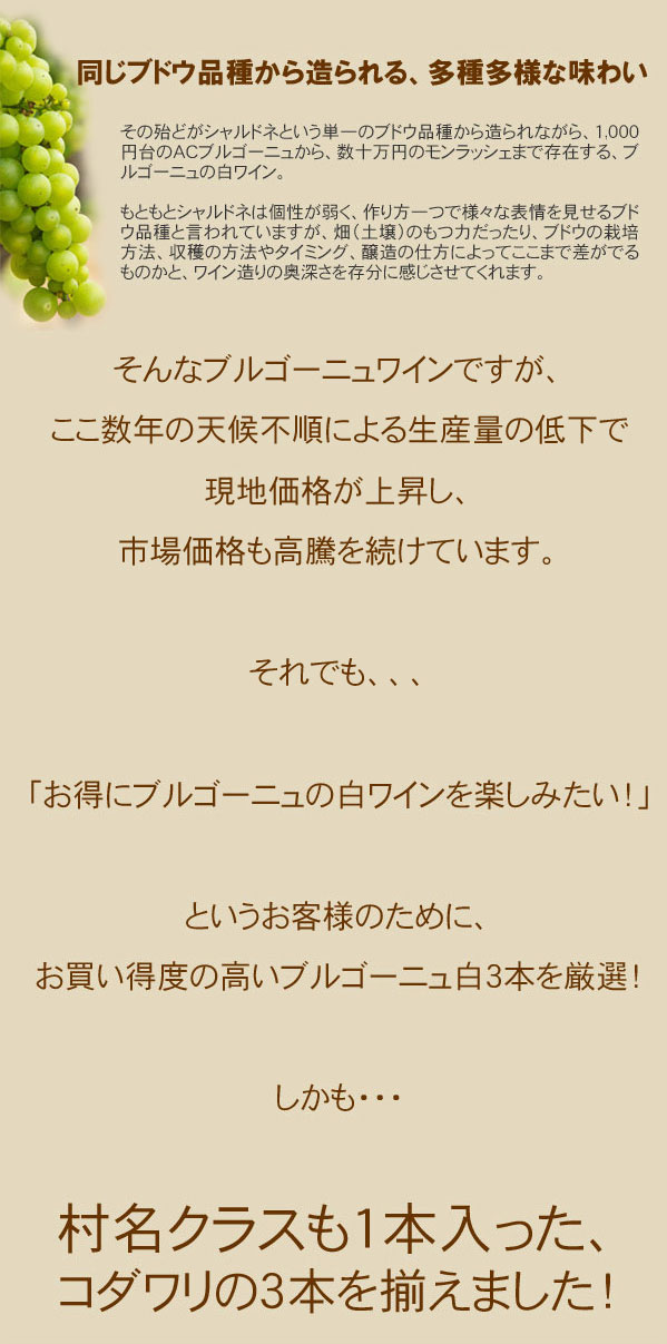 【送料無料】ワインセット ブルゴーニュ 白ワイン 3本 セット 村名クラス入 シャルドネ 家飲み 父の日 御祝 誕生日 結婚祝い ギフト プレゼント 第13弾