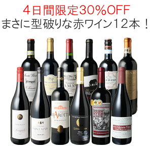 【4日間限定30％OFF】【送料無料】ワインセット 渾身 赤ワイン 12本 セット ボルドー フランス イタリア 南アフリカ スペイン　ポルトガル 型破り赤 第30弾