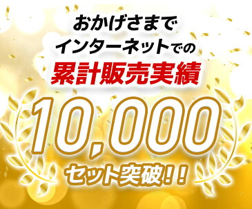 【送料無料】ワインセット 金賞 白ワイン 3本 セット ボルドー ミュスカデ ラングドッグ 辛口 白金 父の日 御祝 誕生日 結婚祝い 第74弾