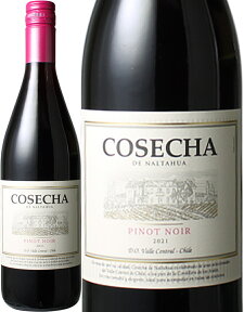 コセチャ　ピノ・ノワール　[2021]　＜赤＞　＜ワイン／チリ＞　※ヴィンテージが異なる場合があります。【Pup】