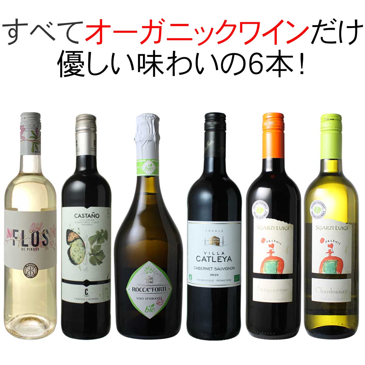 【送料無料】ワインセット オーガニック ワイン 6本 セット ユーロリーフ認定入 赤ワイン 白ワイン フランス イタリア スペイン 家飲み 御祝 誕生日 結婚祝い ギフト プレゼント 第27弾のサムネイル