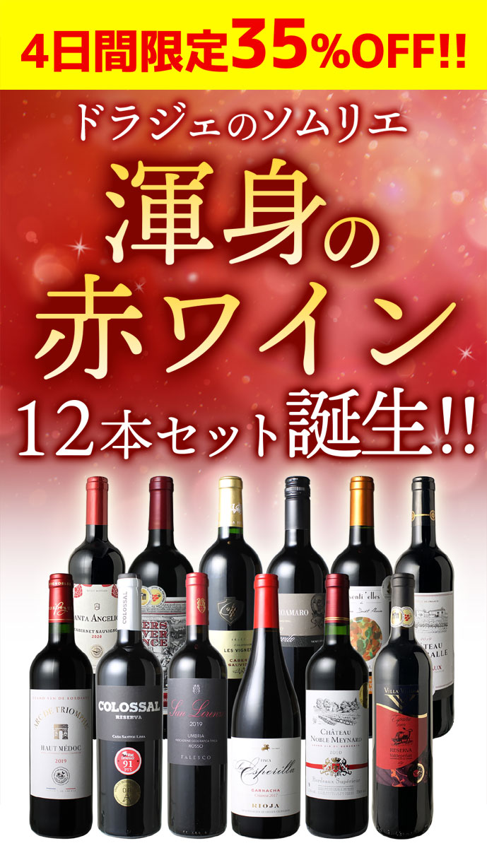 【4日間限定35%OFF！】【送料無料】ワインセット 渾身 赤ワイン 12本 セット ボルドー フランス イタリア スペイン ポルトガル 型破り赤 父の日 御祝 誕生日 結婚祝い 第42弾