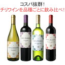 【送料無料】ワインセット チリ ワイン 品種 飲み比べ 4本 セット 第1弾 家飲み コスパ カベルネ・ソーヴィニョン シャルドネ