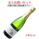 ワインセット　カヴァ　ドミニオ・デ・タルシス　ブリュット　ナチュレ　6本セット　家飲み　まとめ買い　送料無料　＜白＞　＜ワイン／スパークリング＞