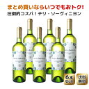 ワインセット　サンタ・アンジェリカ　ソーヴィニヨン・ブラン　ラヴァナル　6本セット　家飲み　まとめ買い　　＜白＞　＜ワイン／チリ＞※ヴィンテージが異なる場合があります。