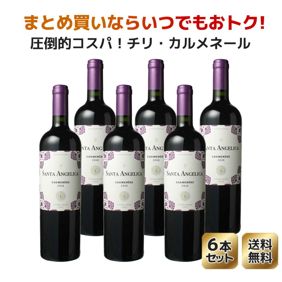 【送料無料】ワインセット　サンタ・アンジェリカ　カルメネール　ラヴァナル　6本セット　家飲み　まとめ買い　[2021]　＜赤＞　＜ワイン／チリ＞【沖縄・離島は別料金加算】※ヴィンテージが異なる場合があります。