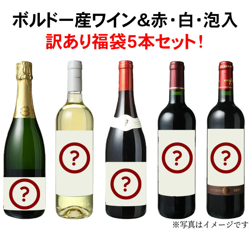 ワインセット 訳あり 福袋 アウトレット ブルゴーニュ 赤 白 泡 入 5本 セット 家飲み 御祝 誕生日 ハロウィン ギフト 中身はお楽しみ 