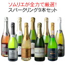 【送料無料】 ワインセット 全力全開 スパークリングワイン 9本 セット シャンパン入 カヴァ入 辛口 飲み比べ ソムリ…