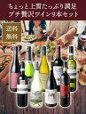 【送料無料】ワインセット ワイン プチ贅沢 全部入り 9本 赤ワイン 白ワイン スパークリング 飲み比べ ソムリエ厳選 ギフト プレゼント 御祝 誕生日 結婚祝い 第29弾【Pup】 3