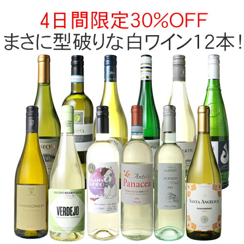 【4日間限定30％OFF】【送料無料】ワインセット 渾身 白ワイン 12本 セット ラインガウ イタリア フランス チリ 型破…