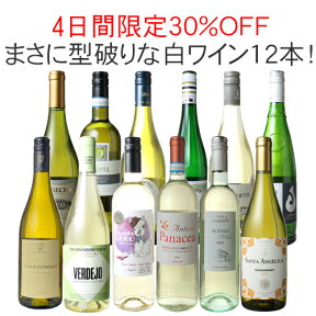 【4日間限定30％OFF】【送料無料】ワインセット 渾身 白ワイン 12本 セット ラインガウ イタリア フランス チリ 型破り白 ギフト 記念日 誕生日 スクリューキャップ 辛口 第48弾