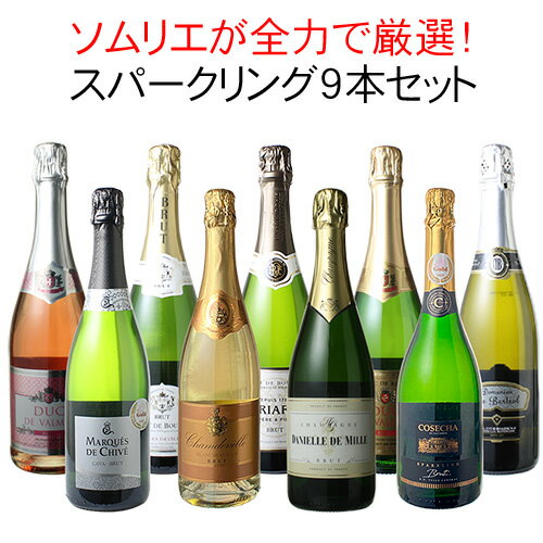  ワインセット 全力全開 スパークリングワイン 9本 セット シャンパン入 カヴァ入 辛口 飲み比べ ソムリエ厳選 ワイン シャンパーニュ カバ wine 御祝 誕生日 結婚祝い ギフト プレゼント 第20弾 