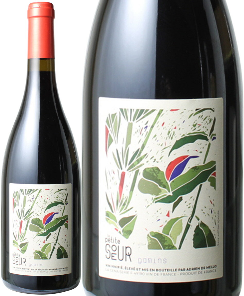 ワイン名Gamins, Vin de France/Adrien De Melloワイン種別赤ブドウ品種ガメイ生産者アドリアン・ド・メロ生産地などロワール　原産地呼称ヴァン・ド・フランスその他備考