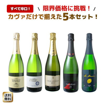 【送料無料】 ワインセット カヴァ 5本 セット 辛口 シャンパン製法 瓶内二次発酵 スパークリングワイン カヴァだけ ワイン ギフト プレゼント 御祝 ソムリエ厳選 カバ 飲み比べセットスペイン cava wine ドライ 第62弾