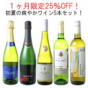 【送料無料】1ヶ月限定25%OFF!初夏の爽やか白ワイン&スパーク 5本 セット ワインセット カヴァ ミュスカデ イタリア ボルドー 5月31日まで