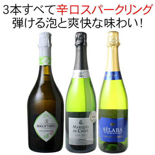 【送料無料】ワインセット 辛口 スパークリングワイン 3本 セット フランス イタリア 辛口 泡だけ 父の日 プレゼント ギフト 第39弾【Pup】