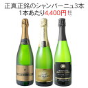 【送料無料】ワインセット シャンパン 3本 セット シャンパン製法 瓶内二次発酵 ギフト 家飲み 御祝 誕生日 結婚祝い プレゼント パーティー 第45弾【Pup】
