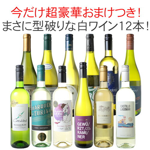 【送料無料】ワインセット 渾身 白ワイン 12本 セット