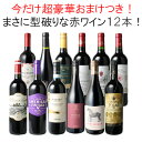 【送料無料】ワインセット 渾身 赤ワイン 12本 セット ボルドー フランス イタリア スペイン ポルトガル 型破り赤 御祝 誕生日 結婚祝い ギフト 第61弾...