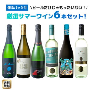 【送料無料】ワインセット サマーセット スパークリングワイン 白ワイン 保冷バッグ 夏ワイン 6本セット 2025年度版 第15弾