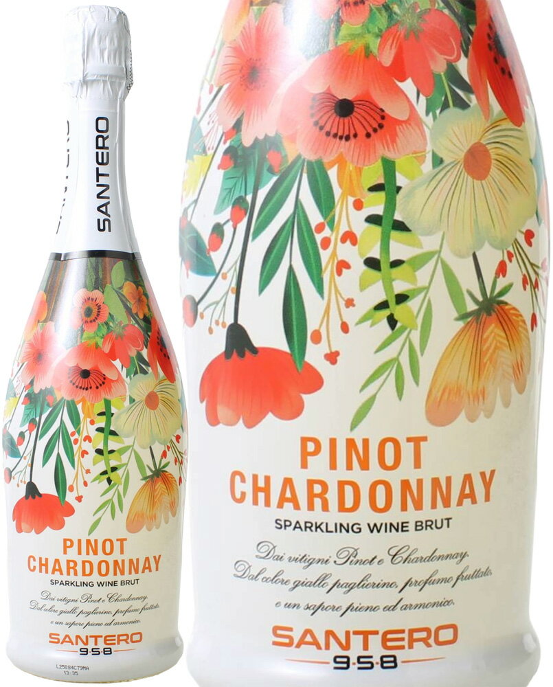 ����ƥ����ԥΡ������ɥ͡��ե��ܥȥ롡NV�����եȡ�����䡡��磻�󡿥��ѡ�����󥰡��Pup��