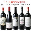 【送料無料】1ヶ月限定25%OFF!秋にピッタリな赤ワイン5本セット! 期間限定 ボルドー ドイツ スペイン ピノ・ノワール 10月31日まで
