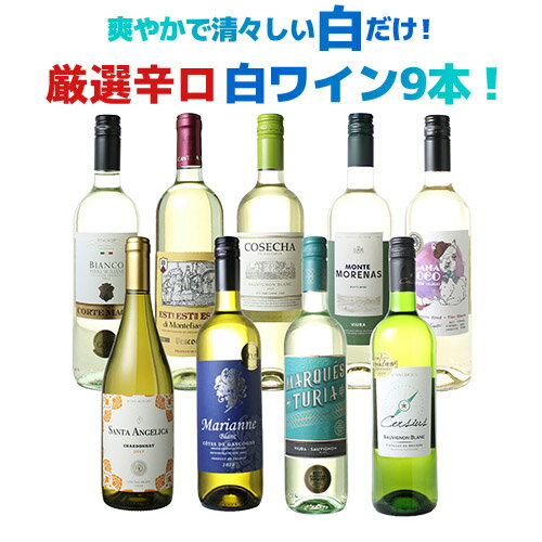【送料無料】ワインセット 爽やかで清々しい白だけ! 厳選 辛口 白ワイン 9本セット スッキリ ワイン 清涼感 イタリア オーストラリア フランス チリ スペイ...