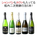 【送料無料】ワインセット シャンパン入 スパークリング ワイン 5本 セット シャンパン製法 瓶内二次発酵 泡好き歓喜 ギフト お中元 第47弾