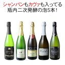 【送料無料】ワインセット シャンパン入 スパークリング ワイン 5本 セット シャンパン製法 瓶内二次発酵 泡好き歓喜 ギフト お中元 第47弾【Pup】