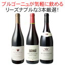 【送料無料】ワインセット ブルゴーニュ 3本 セット 赤ワイン ピノ・ノワール お気軽ブルゴーニュ 家飲み ギフト 御祝 誕生日 結婚祝い プレゼント 第49弾【Pup】
