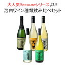 【送料無料】 産地・ブドウ品種の個性を知って楽しむ! Because シリーズ 5本 白ワイン スパーク 飲み比べセット ビコーズ フランス カリフォルニア ド...