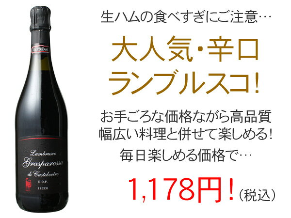 ランブルスコ・グラスパロッサ・ディ・カステルヴェトロ　セッコ　辛口　NV　カンティーナ・セッテカーニ　＜赤＞　＜ワイン／スパークリング＞【Pup】 tamaki-web-10029372 ワインショップ ドラジェ サンプル画像2