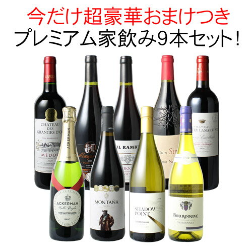 【送料無料】 ワインセット プレミアム 家飲み ワイン 9本 セット 赤ワイン 白ワイン スパークリングワイン 飲み比べ ソムリエ厳選 贅沢 ミックスセット フルボディ 御祝 誕生日 結婚祝い ギフト プレゼント 第28弾