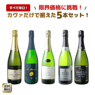 ワインセット カヴァ 5本 セット 辛口 シャンパン製法 瓶内二次発酵 スパーク…