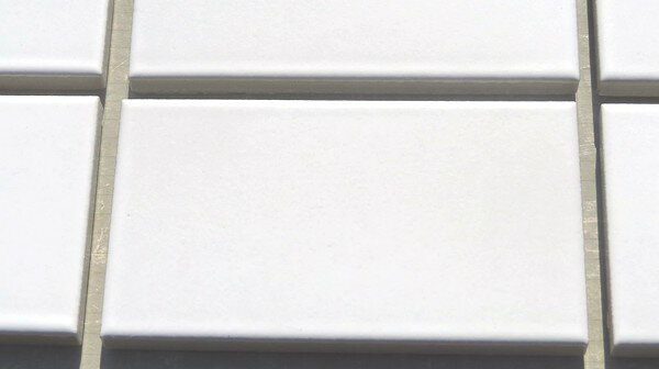 �ھ���ʿ������ۡ��򡦥ޥåȡ�WL-1