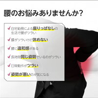 骨盤関節ベルト仙骨パッド腰痛対策腰の痛み玉川衛材