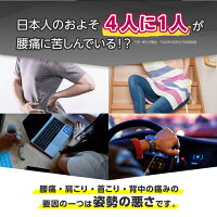 骨盤関節ベルト仙骨パッド腰痛対策腰の痛み玉川衛材