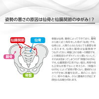 骨盤関節ベルト仙骨パッド腰痛対策腰の痛み玉川衛材