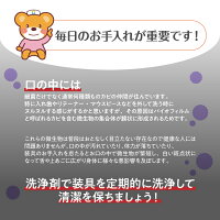 入れ歯洗浄剤120錠2箱セット(合計240錠)除菌率99.9%入れ歯キレイ洗浄剤口腔専科玉川衛材ケアハート