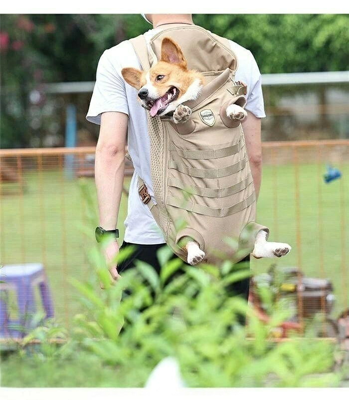 ペットバッグ 抱っこバック 厚地 通気 抱っこ紐 おんぶひも 犬用 ペットキャリー リュック型 旅行 大型犬 中型犬 お出かけ便利 tamamiya-10002097 TAMAMIYA 楽天市場店 サンプル画像2