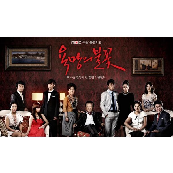 日本語字幕 韓国ドラマ「欲望の炎」Blu-ray